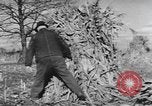 Image of Antioch College students Yellow Springs Ohio USA, 1942, second 56 stock footage video 65675059213
