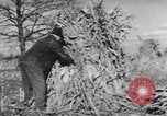 Image of Antioch College students Yellow Springs Ohio USA, 1942, second 57 stock footage video 65675059213