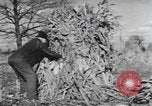Image of Antioch College students Yellow Springs Ohio USA, 1942, second 58 stock footage video 65675059213