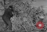Image of Antioch College students Yellow Springs Ohio USA, 1942, second 59 stock footage video 65675059213