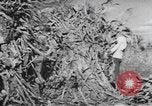 Image of Antioch College students Yellow Springs Ohio USA, 1942, second 62 stock footage video 65675059213