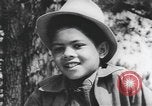 Image of African American poor conditions in the USA United States USA, 1940, second 33 stock footage video 65675059215
