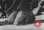 Standbild Afrikanische amerikanische Mädchen weben Körbe United States USA, 1940, aus Sekunde 49 historischem Filmmaterial Videoclip 65675059218