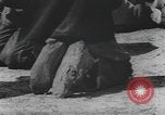 Standbild Afrikanische amerikanische Mädchen weben Körbe United States USA, 1940, aus Sekunde 51 historischem Filmmaterial Videoclip 65675059218