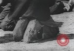 Standbild Afrikanische amerikanische Mädchen weben Körbe United States USA, 1940, aus Sekunde 53 historischem Filmmaterial Videoclip 65675059218
