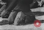 Standbild Afrikanische amerikanische Mädchen weben Körbe United States USA, 1940, aus Sekunde 54 historischem Filmmaterial Videoclip 65675059218