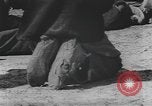 Standbild Afrikanische amerikanische Mädchen weben Körbe United States USA, 1940, aus Sekunde 55 historischem Filmmaterial Videoclip 65675059218