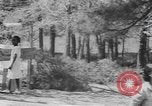 Standbild Afrikanische amerikanische Volk Picknick United States USA, 1940, aus Sekunde 30 historischem Filmmaterial Videoclip 65675059224