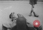 Image of African Americans New York City USA, 1965, second 52 stock footage video 65675059230