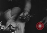 Image of drug abuse among African Americans New York United States USA, 1965, second 3 stock footage video 65675059231