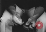 Image of drug abuse among African Americans New York United States USA, 1965, second 11 stock footage video 65675059231