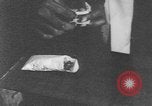 Image of drug abuse among African Americans New York United States USA, 1965, second 32 stock footage video 65675059231