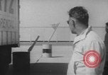 Image of African Americans New York United States USA, 1965, second 58 stock footage video 65675059234