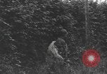Image of American soldiers Saint Lo France, 1944, second 10 stock footage video 65675059236