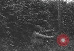 Image of American soldiers Saint Lo France, 1944, second 11 stock footage video 65675059236
