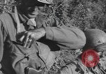 Image of American soldiers Saint Lo France, 1944, second 23 stock footage video 65675059236
