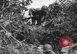 Image of American soldiers Saint Lo France, 1944, second 31 stock footage video 65675059236