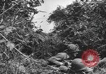 Image of American soldiers Saint Lo France, 1944, second 33 stock footage video 65675059236