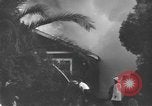 Image of Two P-51 fighter planes crash into homes in Jacksonville, Florida Jacksonville Florida USA, 1944, second 11 stock footage video 65675059237