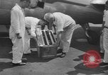 Image of Pistol Head New York United States USA, 1944, second 10 stock footage video 65675059238