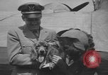 Image of Pistol Head New York United States USA, 1944, second 16 stock footage video 65675059238