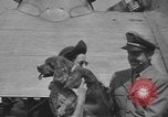 Image of Pistol Head New York United States USA, 1944, second 28 stock footage video 65675059238