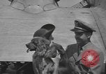 Image of Pistol Head New York United States USA, 1944, second 29 stock footage video 65675059238