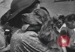 Image of Pistol Head New York United States USA, 1944, second 31 stock footage video 65675059238