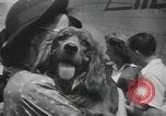 Image of Pistol Head New York United States USA, 1944, second 33 stock footage video 65675059238