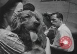 Image of Pistol Head New York United States USA, 1944, second 34 stock footage video 65675059238