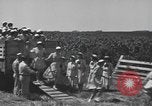 Image of Women Navy personnel United States USA, 1944, second 6 stock footage video 65675059239