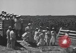 Image of Women Navy personnel United States USA, 1944, second 8 stock footage video 65675059239