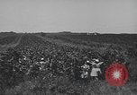 Image of Women Navy personnel United States USA, 1944, second 9 stock footage video 65675059239