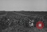 Image of Women Navy personnel United States USA, 1944, second 10 stock footage video 65675059239
