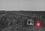 Image of Women Navy personnel United States USA, 1944, second 11 stock footage video 65675059239