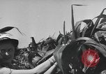Image of Women Navy personnel United States USA, 1944, second 13 stock footage video 65675059239