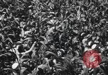 Image of Women Navy personnel United States USA, 1944, second 15 stock footage video 65675059239