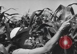 Image of Women Navy personnel United States USA, 1944, second 20 stock footage video 65675059239