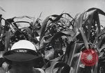Image of Women Navy personnel United States USA, 1944, second 22 stock footage video 65675059239
