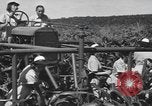 Image of Women Navy personnel United States USA, 1944, second 23 stock footage video 65675059239