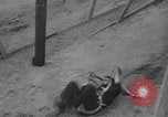 Image of paratroopers Georgia United States USA, 1944, second 19 stock footage video 65675059240