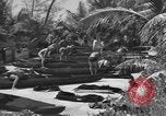 Image of underwater training Nassau Bahamas, 1945, second 38 stock footage video 65675059244
