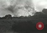 Image of forest fire Topanga California USA, 1936, second 11 stock footage video 65675059251