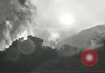 Image of forest fire Topanga California USA, 1936, second 14 stock footage video 65675059251