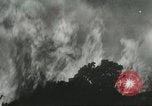 Image of forest fire Topanga California USA, 1936, second 19 stock footage video 65675059251