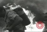 Image of forest fire Topanga California USA, 1936, second 24 stock footage video 65675059251
