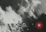 Image of forest fire Topanga California USA, 1936, second 25 stock footage video 65675059251