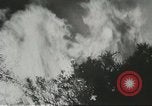 Image of forest fire Topanga California USA, 1936, second 26 stock footage video 65675059251