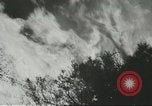 Image of forest fire Topanga California USA, 1936, second 27 stock footage video 65675059251