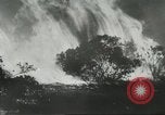 Image of forest fire Topanga California USA, 1936, second 28 stock footage video 65675059251